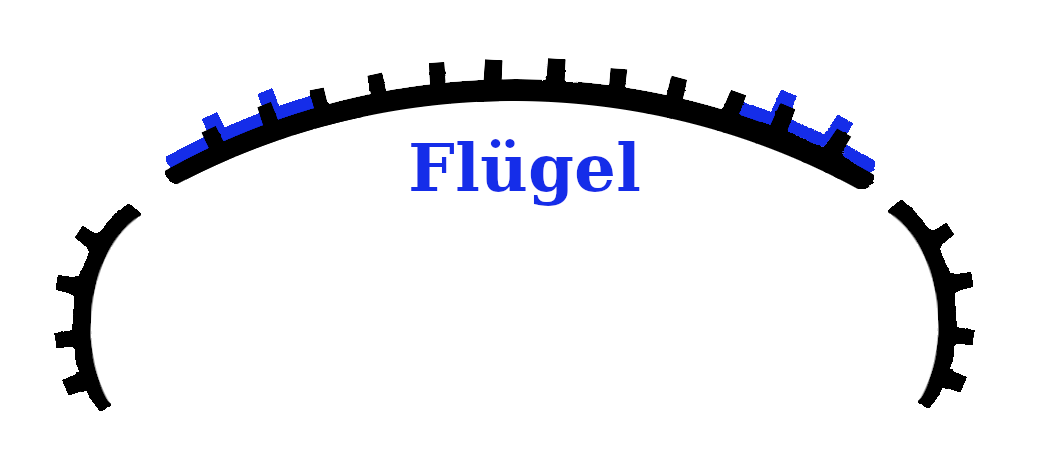 Flügel-Kampfrichtung