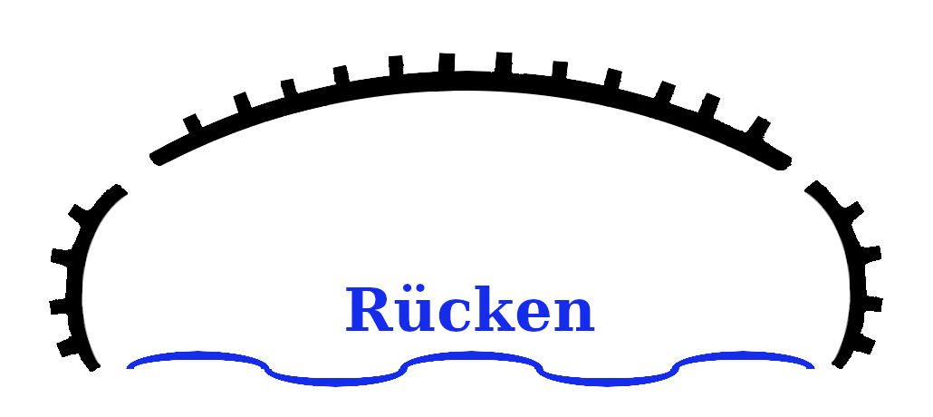 Rücken-Kampfrichtung