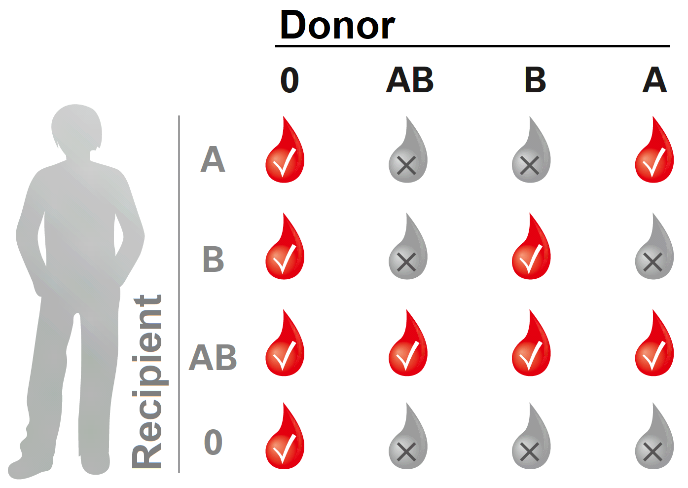 Kreuztabelle für Blutgruppen